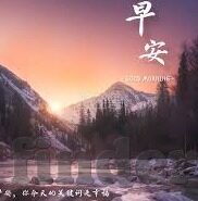 世界杯伊朗与葡萄牙-伊朗与葡萄牙在世界杯上的对决，足球的激情与历史的碰撞